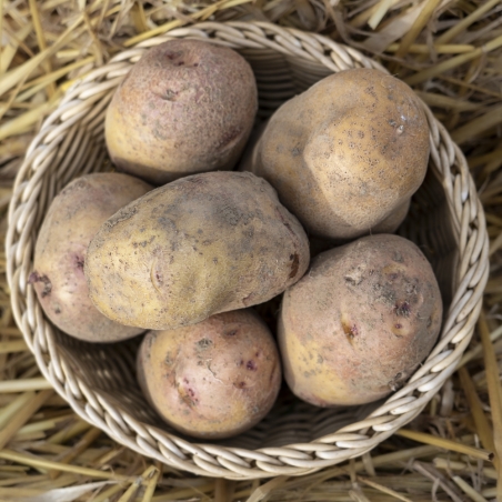 Pomme de terre frites  (par kg)