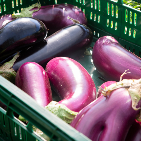 Aubergine (par kg)