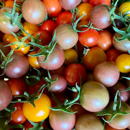 Tomate cerise (les 500 g)