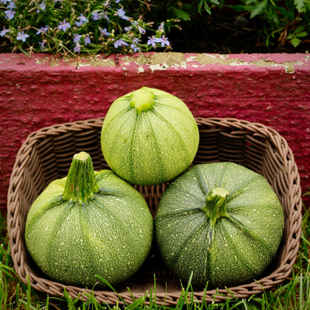 Courgette ronde (par kg)