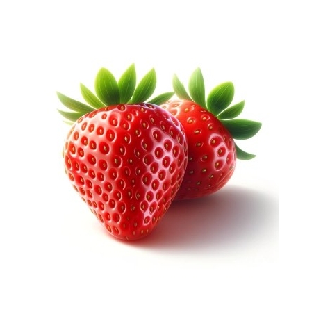 Fraise (ravier 300g)