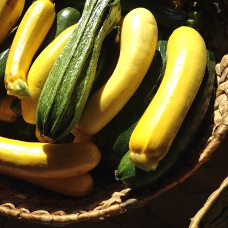 Courgette promo par 5 kg