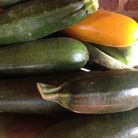 Courgette soupe (gros calibre)