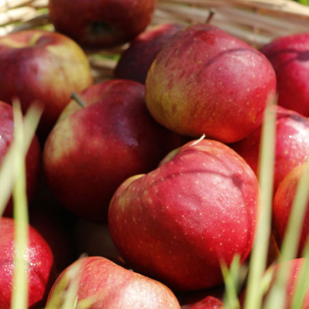 Pomme (par kg)
