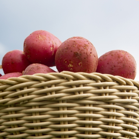 Pomme de terre Alouette (par kg)