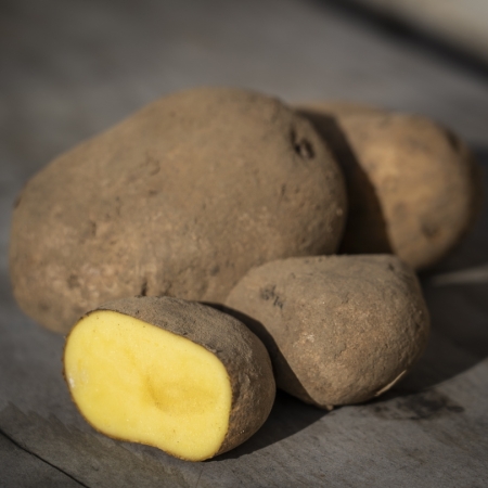 Pommes de terre Allians (par kg)