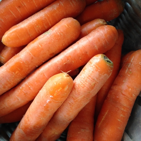 Carotte vrac